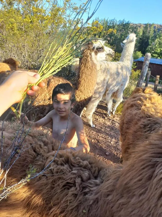 Penzion San Ignacio Estancia Andina Mendoza Venkovský dům